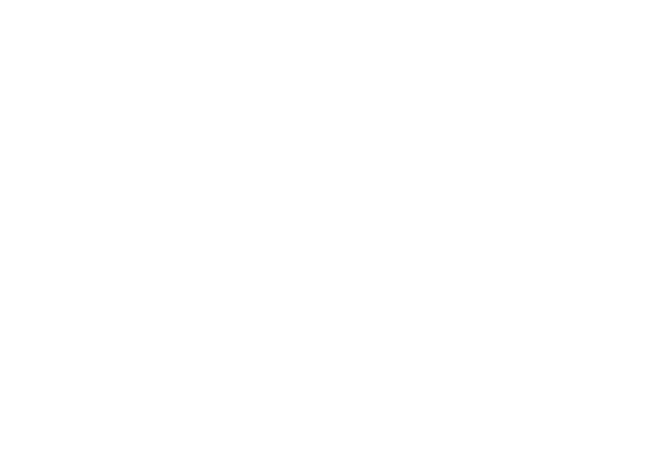 Reykjavík International Film Festival