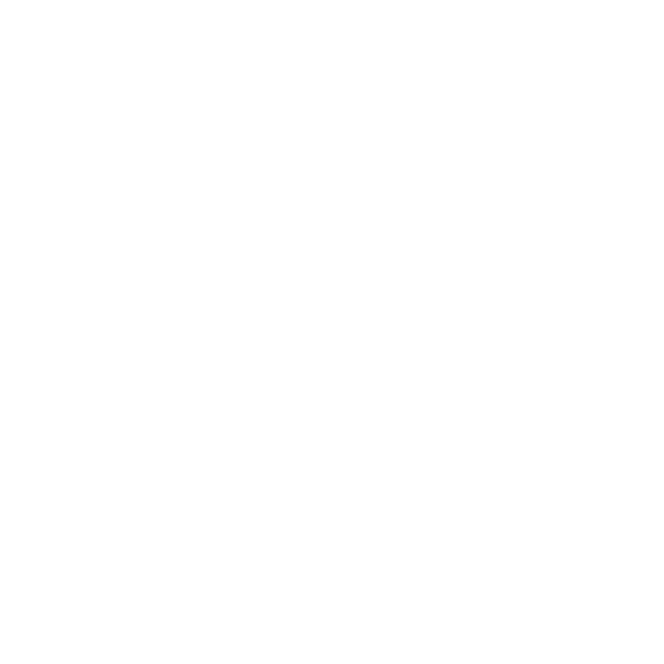 Newport Beach Film Festival