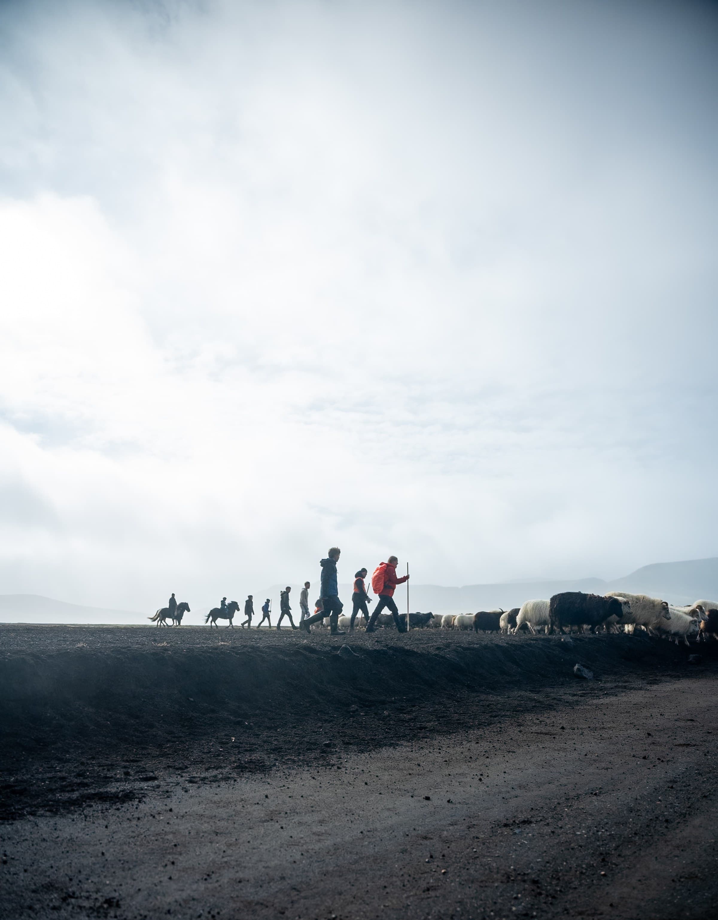 Fjallferð, still 2