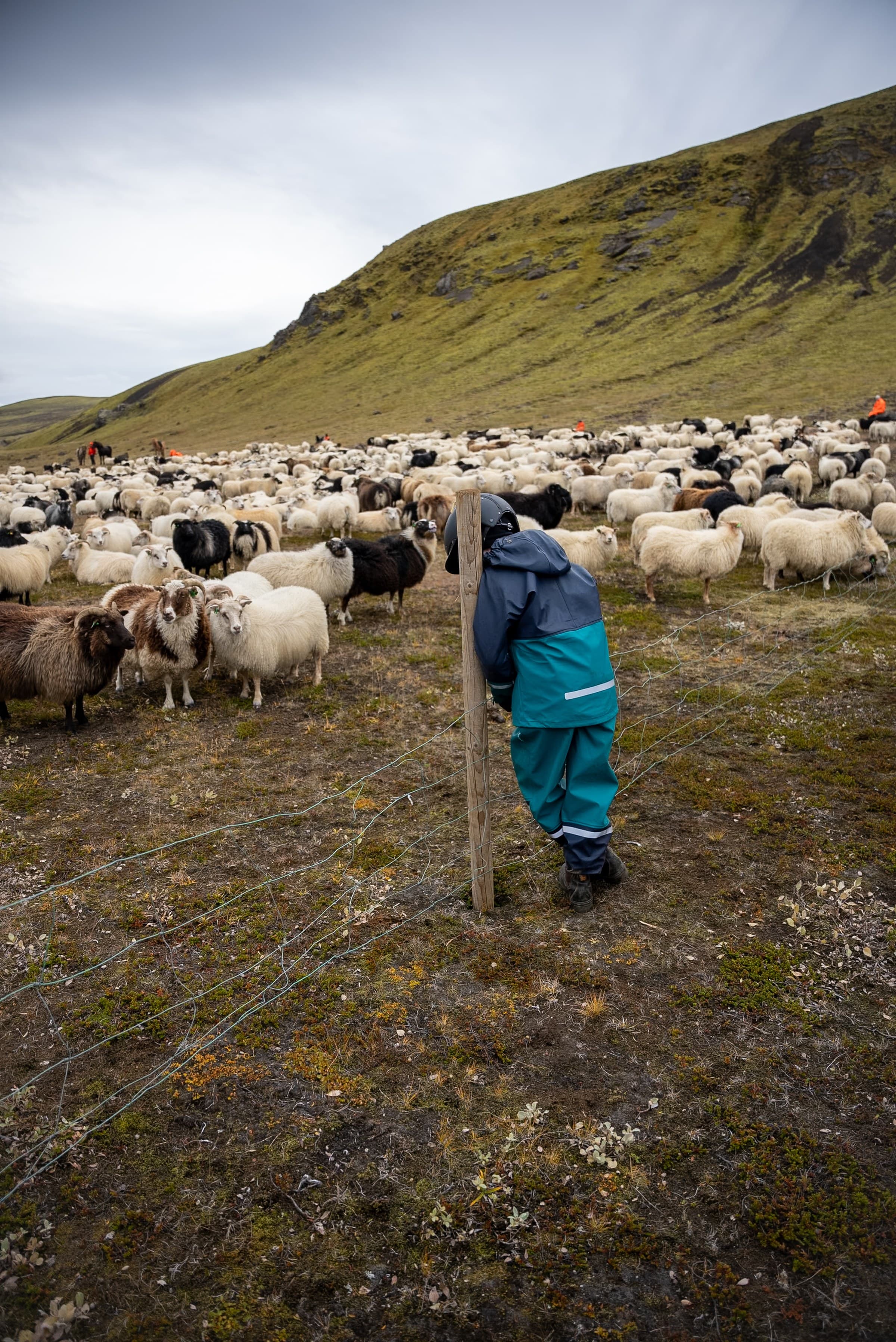 Fjallferð, still 4