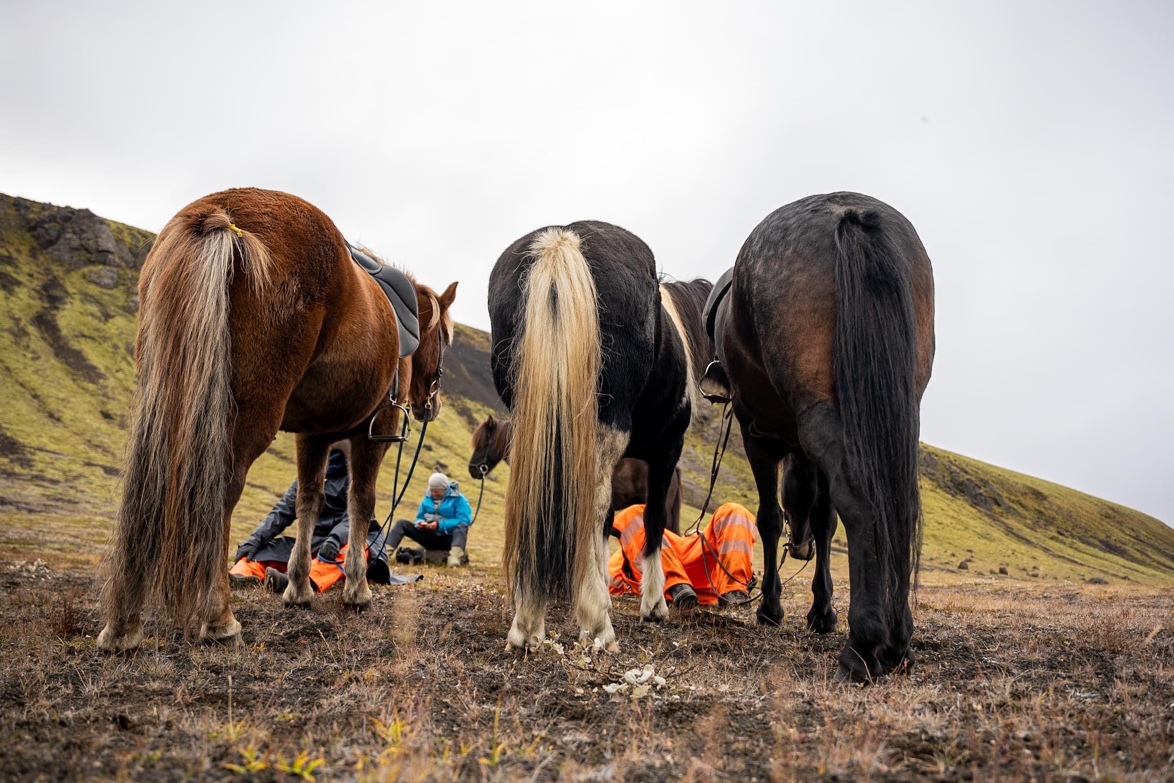 Fjallferð, still 6