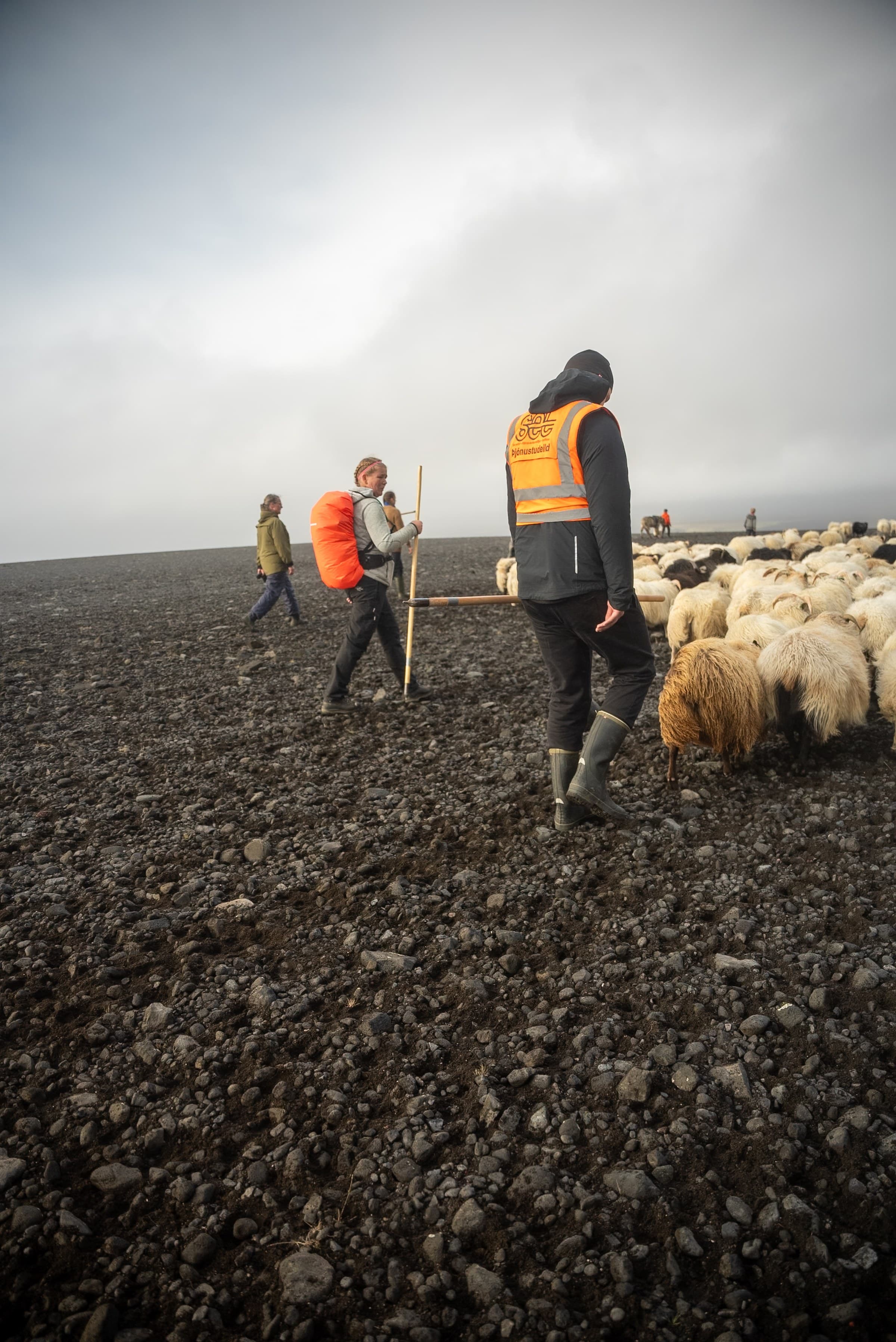 Fjallferð, still 7